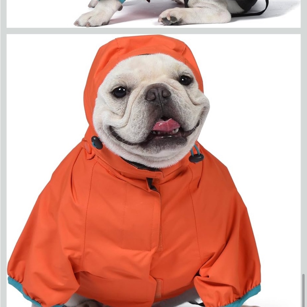 Orvis Bright Orange Dog Raincoat